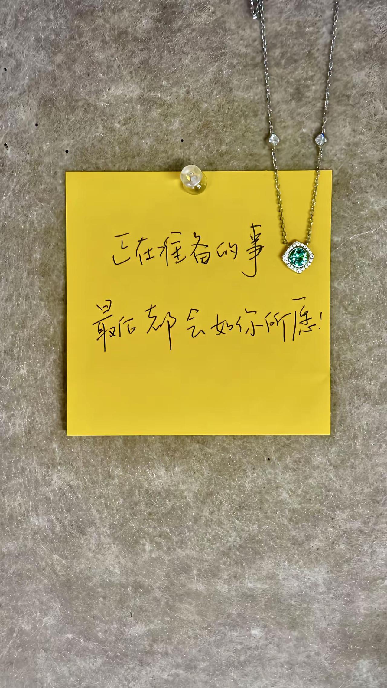 许愿幸福和幸运同时降临在你手心 祝福 许愿 范琦许愿池项链