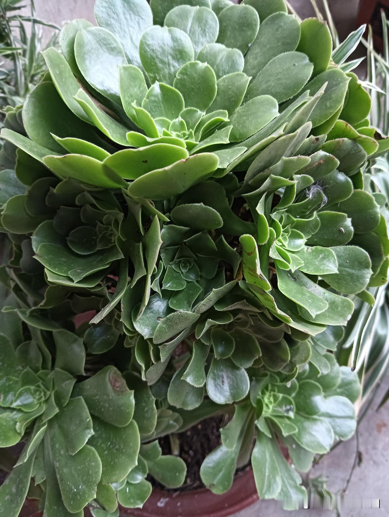 晒图笔记大赛太美了吧[呲牙]