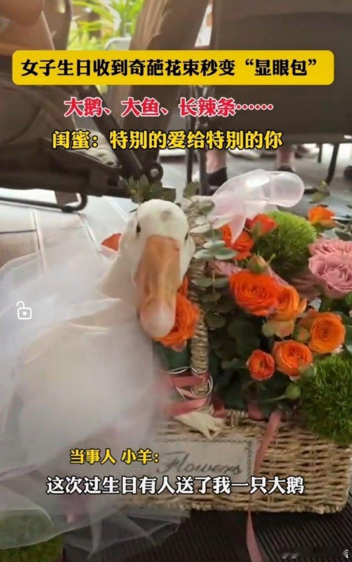 #生日收到大鹅花束#收到这份独特的大鹅花束作为生日礼物，我真是哭笑不得。这份礼物