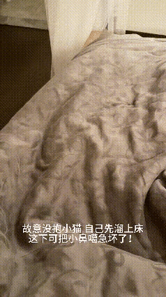 被自家猫主子怨上了！这小模样谁顶得住啊
 
乖乖嘞，俺家这小祖宗真是急毁了！
主