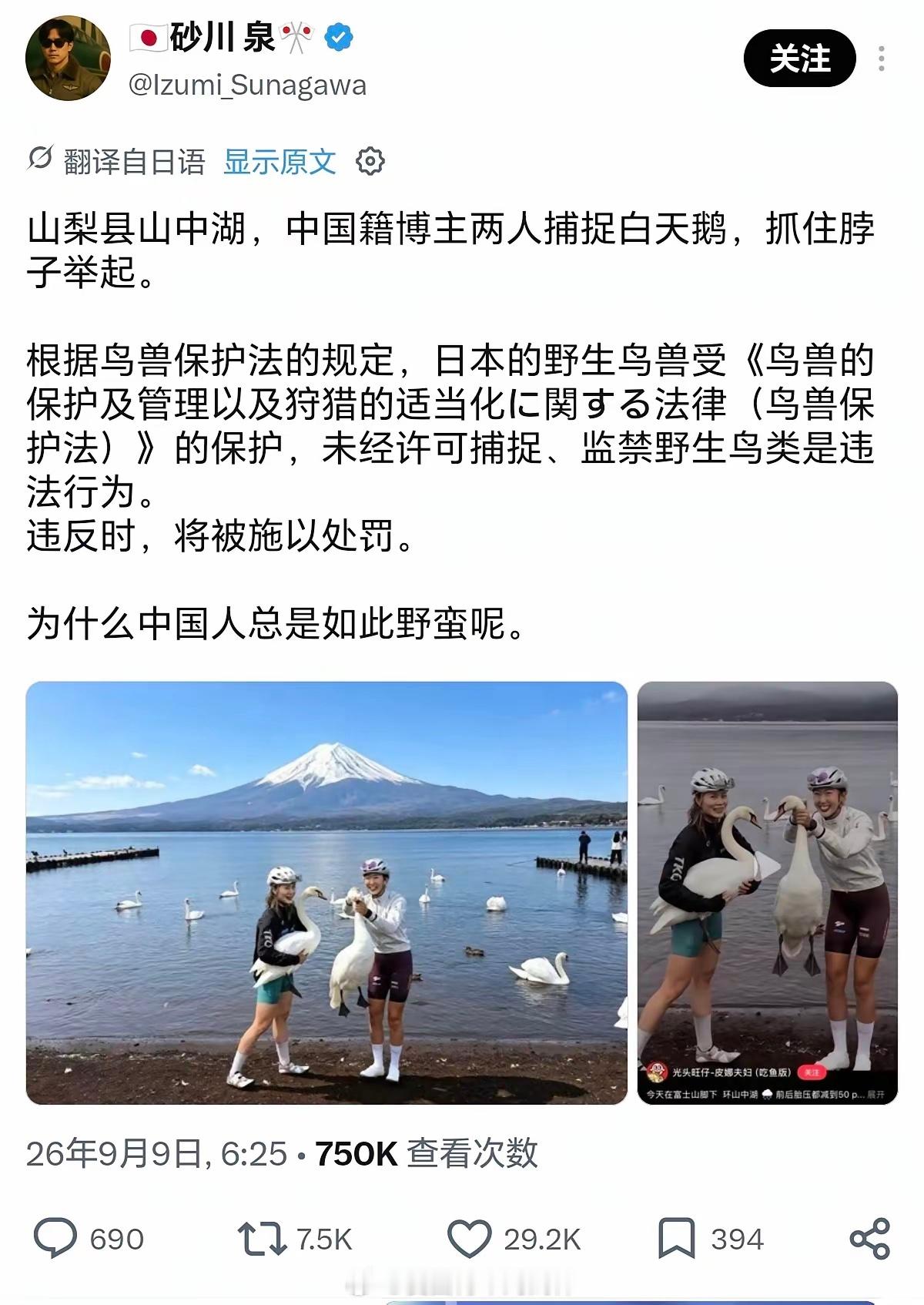 日本网军又找到新话题了……​上次是鹿，已经证实是造谣。这回他们又把目标对准了天鹅