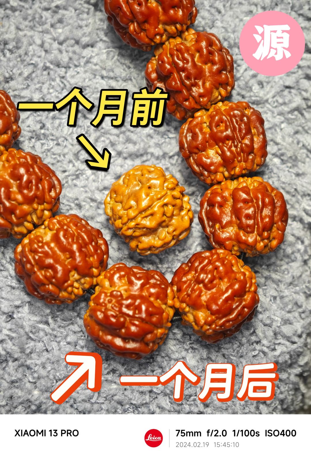 NO.389 我超！源！