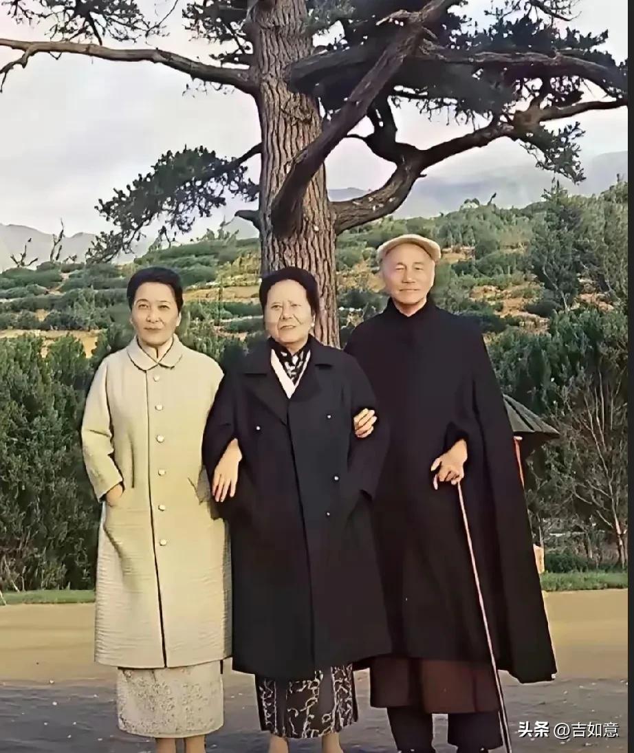 看到宋氏家族中两位姐妹与蒋介石的合影，大姐稳稳占据C位，还被妹妹妹夫挽着胳膊，这