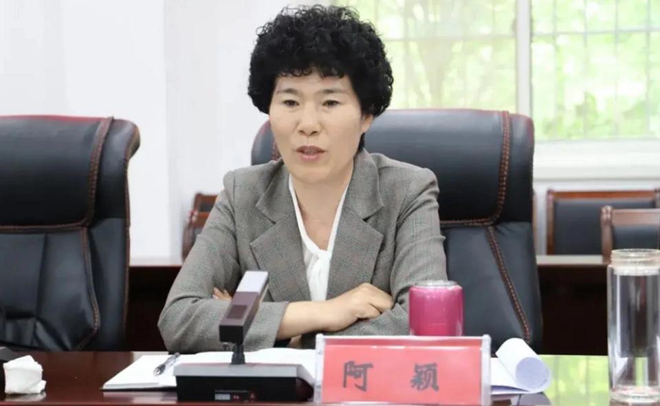 南阳市副市长阿颖是高考移民吗？
明确的说，阿颖不是高考移民，而是邓州市人，是在邓