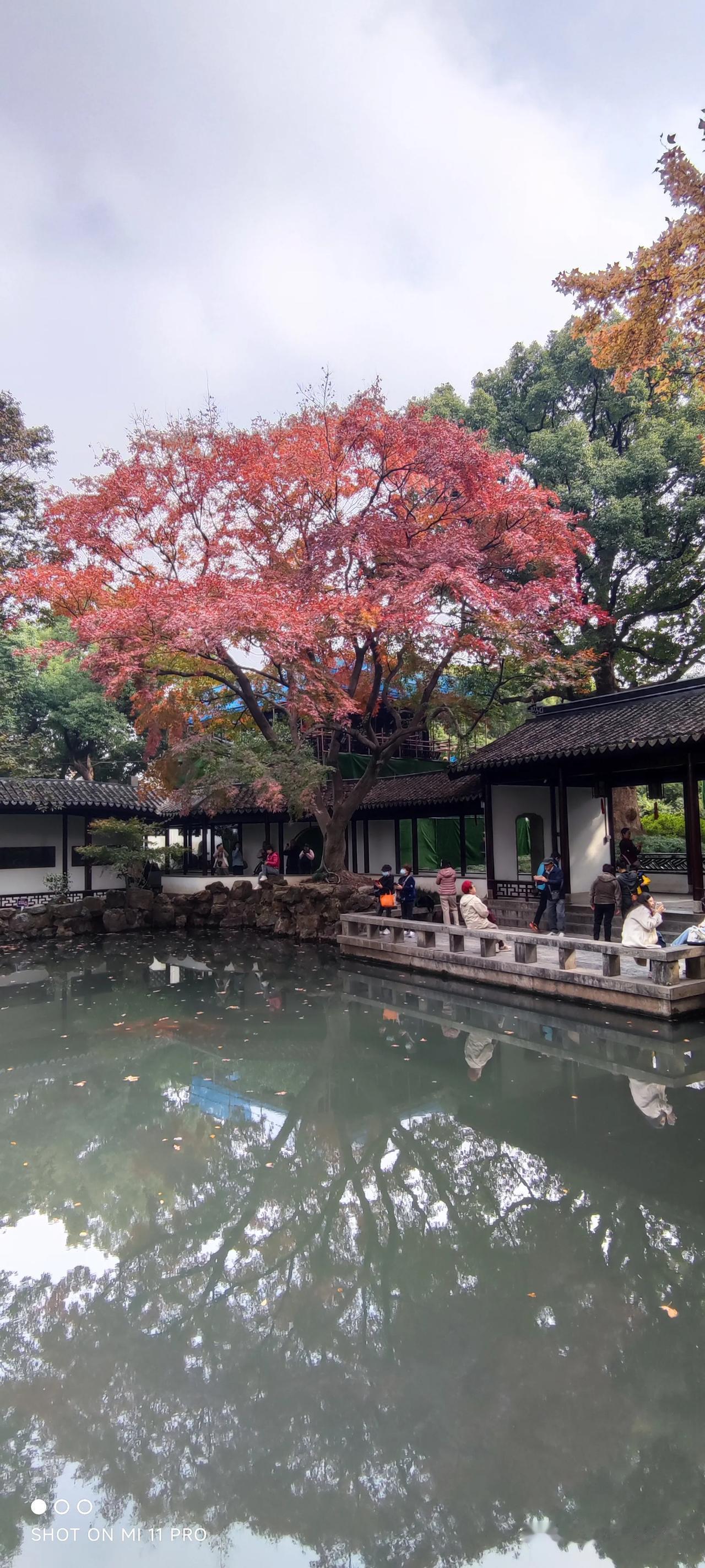 美轮美奐寄畅园