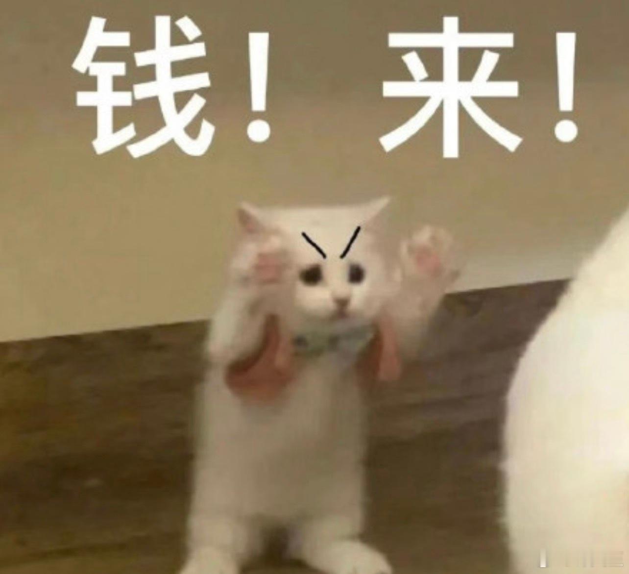 中午多吃点，多准备点力气，下午数钱股票股市