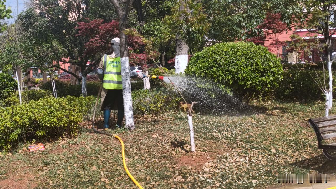 昆明的春天，阳光普照，照在人身上暖暖的，路旁的花儿也在尽情的开放，让人感觉非常的