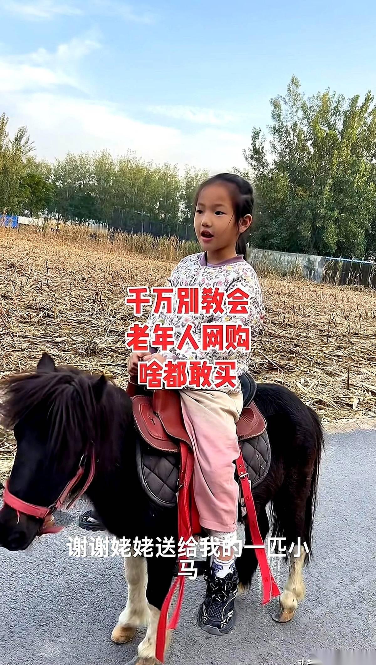 快递一个电话打过来，说有个大件。
我下去一看，好家伙，一匹活蹦乱跳的小马。我当时