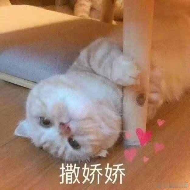 被大家找工作的思路震撼到了 面试不是审讯，是双向奔赴。 ​​​