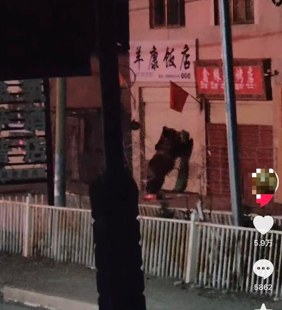 #乡政府回应两只熊闯进饭店#【饭店遭两只熊上门“拜年”，店主称刷短视频后才得知 
