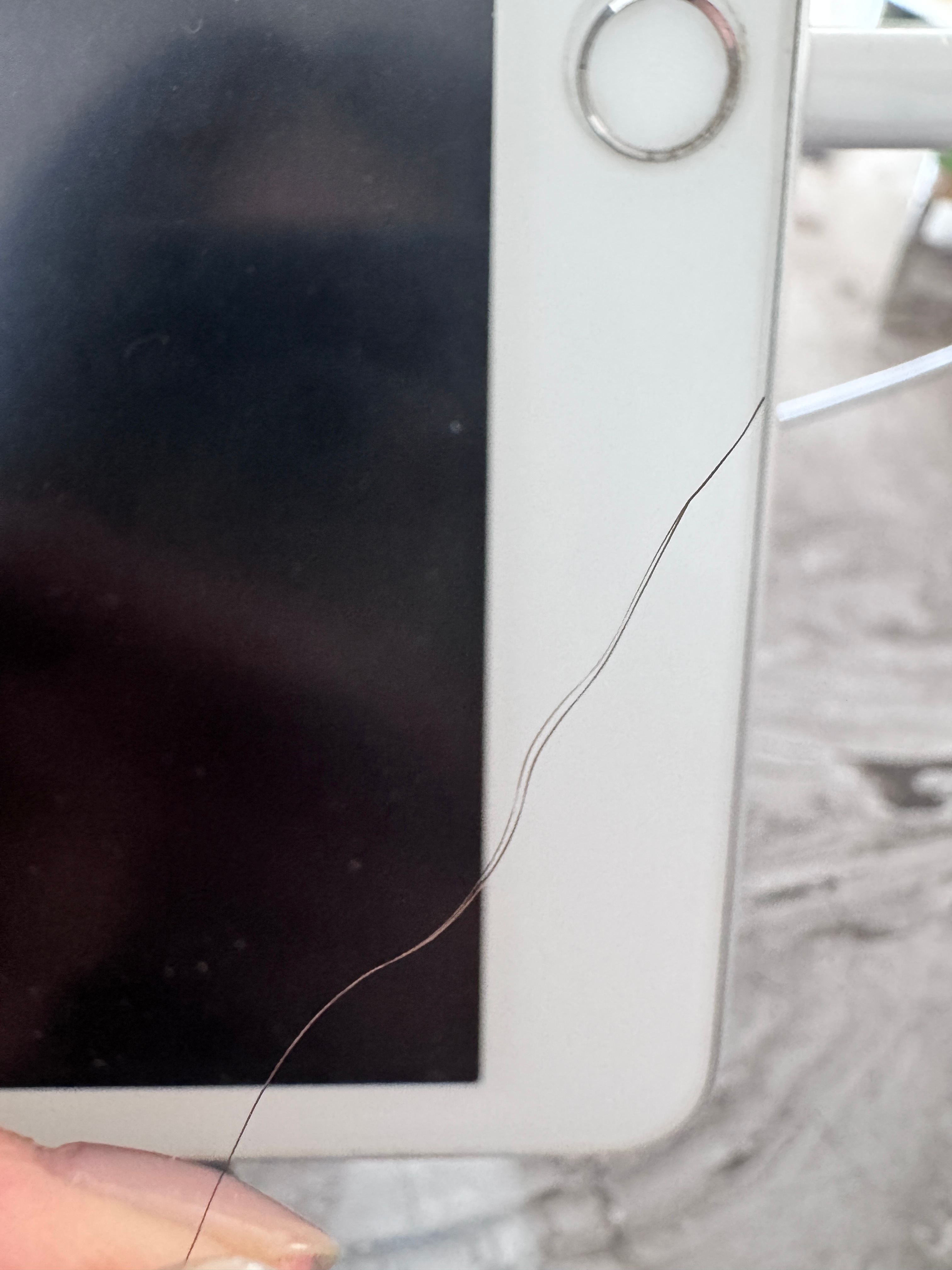 其实我真的好奇头发是怎么做到分开后隔了一段又重新合起来的