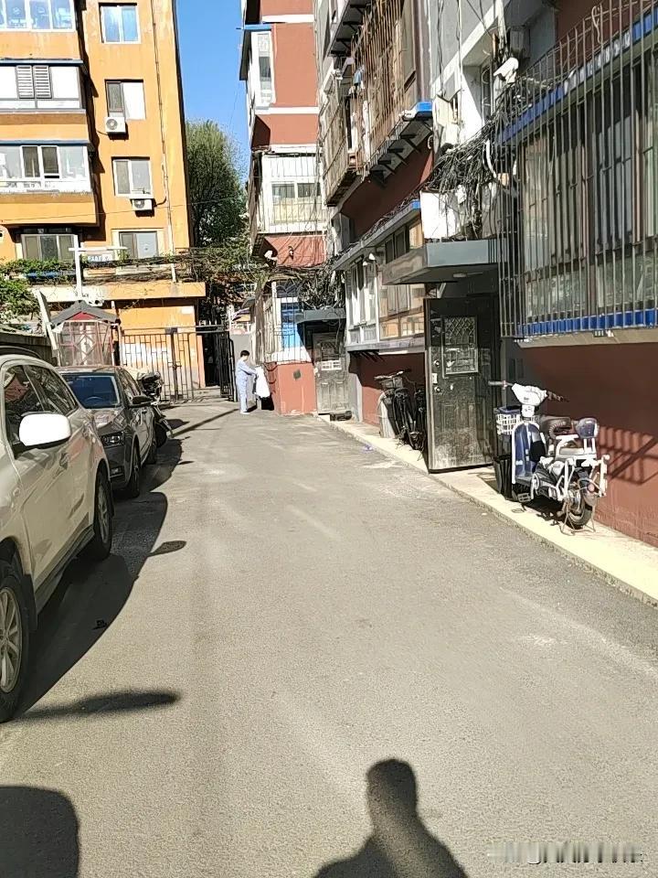 春日美景大赏