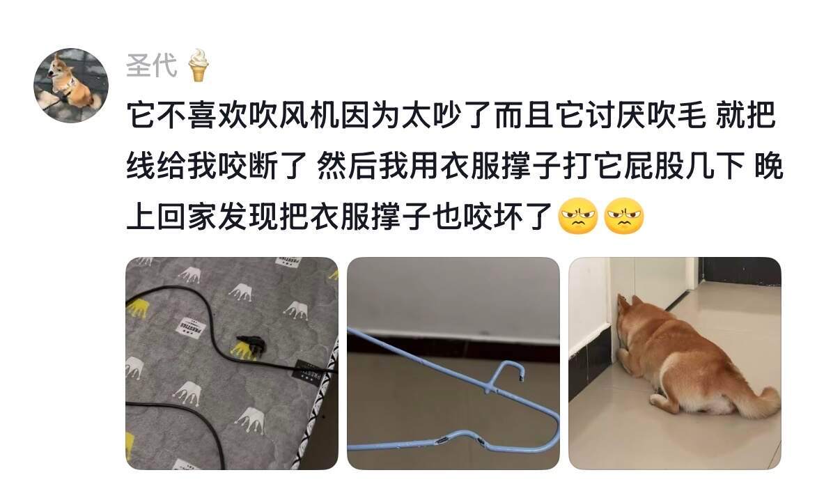 我很爱他，但有些时候…… 