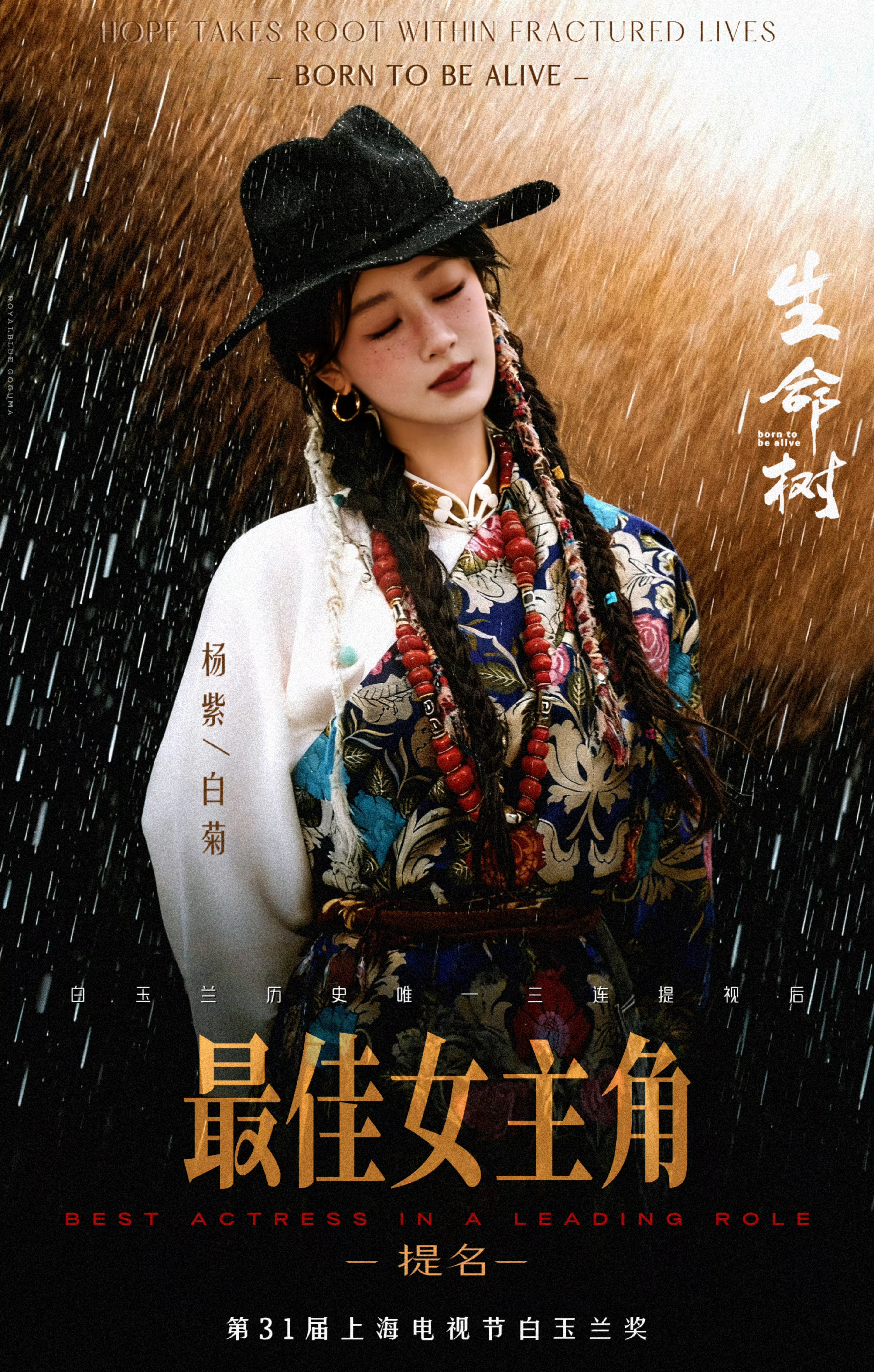 白玉兰奖倒计时5天已经在期待了