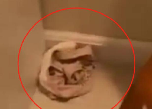 浙江杭州，一名男子花100元入住酒店，本想着简单休息一晚，没想到刚进房间没多久，