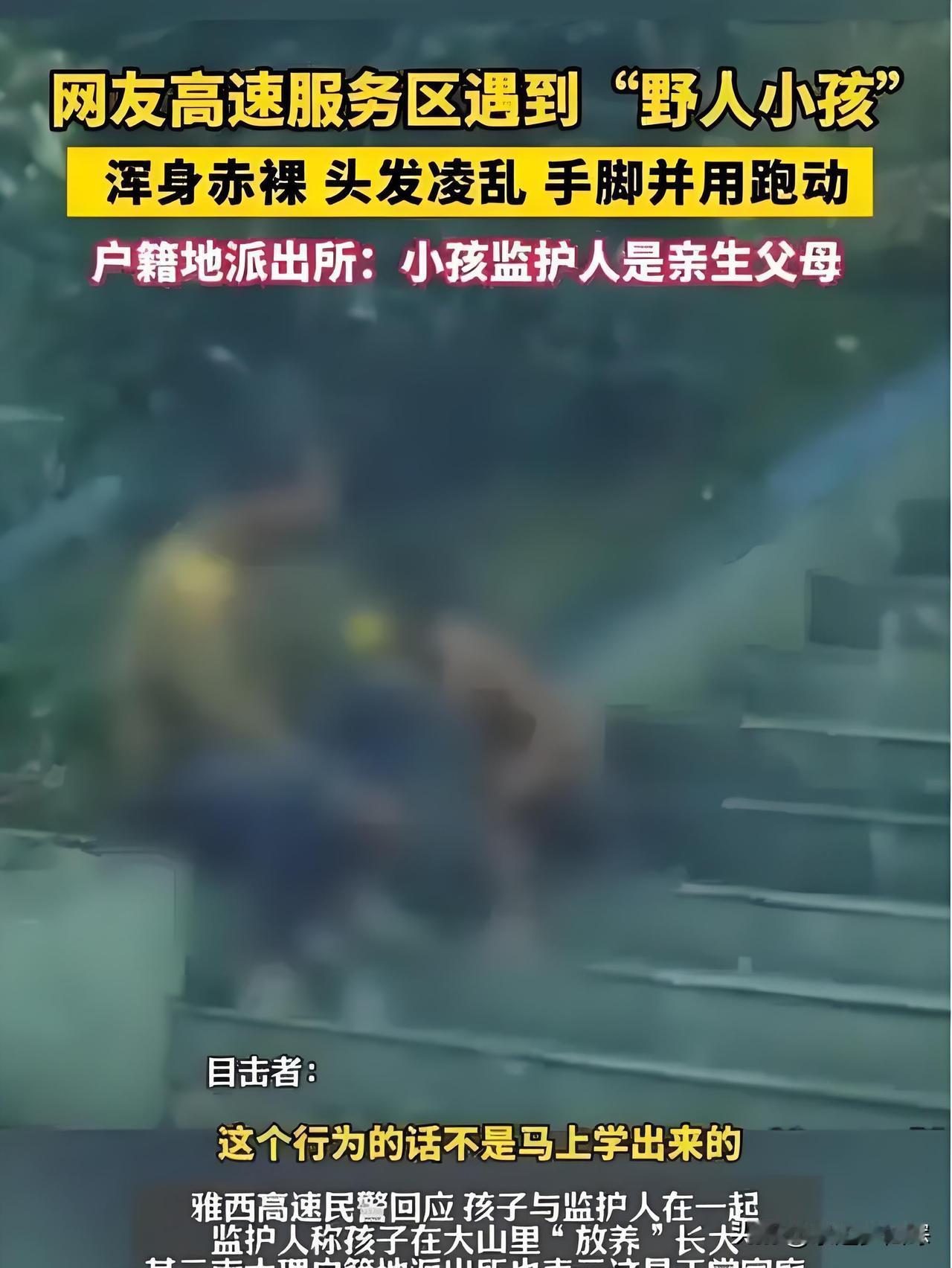这也配叫自然教育？这样的家庭带孩子，完全与社会脱节，分明是监护失职。一家四口开着