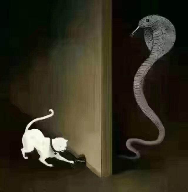 有些人不明白这幅画的寓意，只知道猫把蛇尾当鼠尾了。其实它是在提示：“你很难知道跟