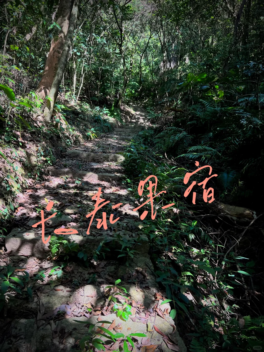 🌳长泰果宿 | 户外徒步、爬山，回归原生态🌄