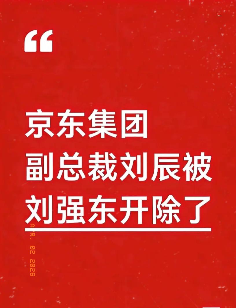 东哥这回是真的不留情面了。多家媒体都锤实了，京东集团副总裁刘辰直接被开除，没有缓
