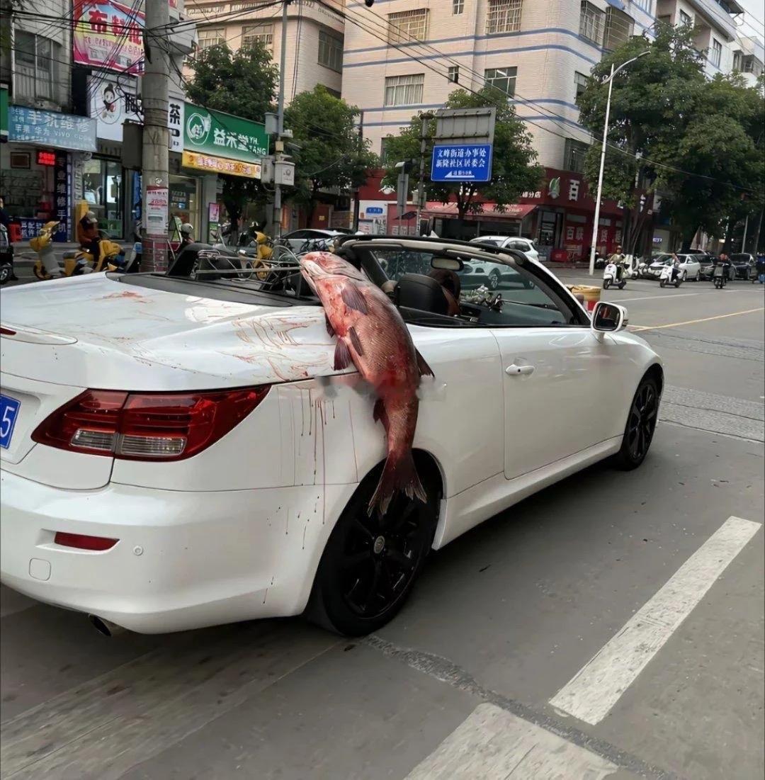 我知道你钓了一条大鱼，也不至于这样吧！