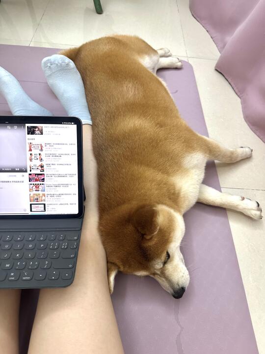 先生，你打扰到我运动了