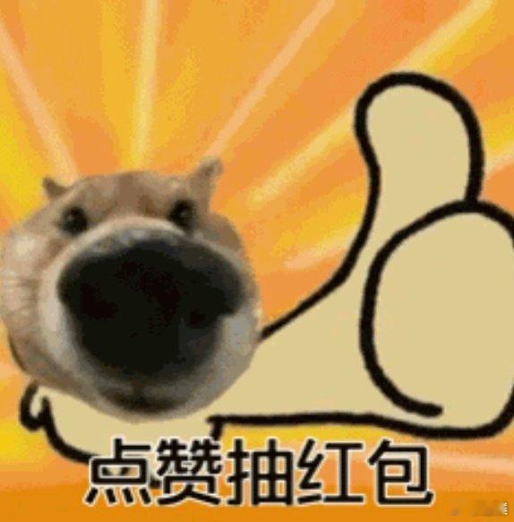 点赞+关注，抽10个人红包[打call]争取以后每天都给大家抽一轮[doge] 