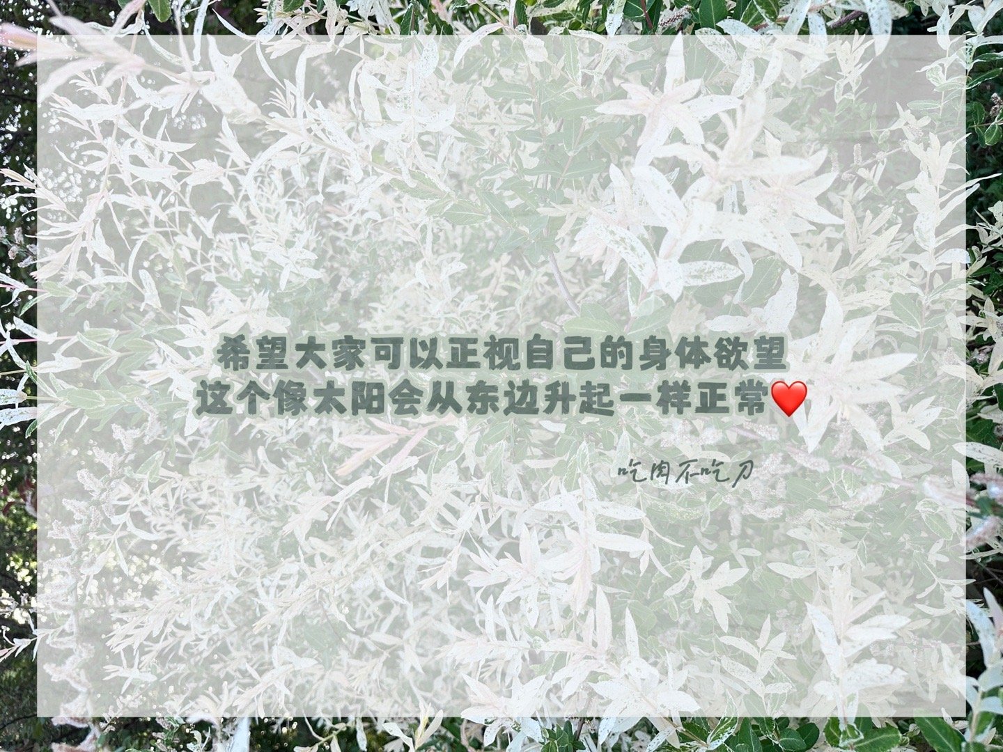 吃肉不吃刀小玩具集邮：🌟诱桃偷欢（我拥有的第一个小玩具）特点：可以远程网页链接