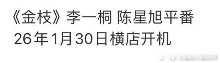 网传古偶《金枝》主演李一桐、陈星旭，两人平番   2026年一月底横店开机 