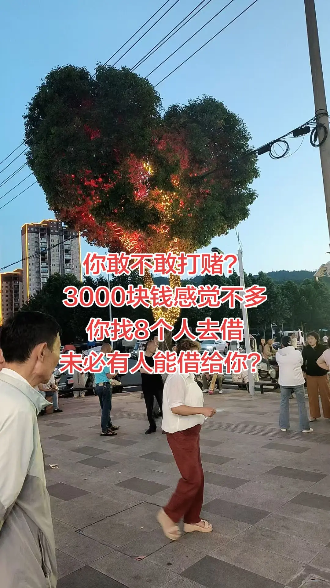 敢不敢来打个赌？