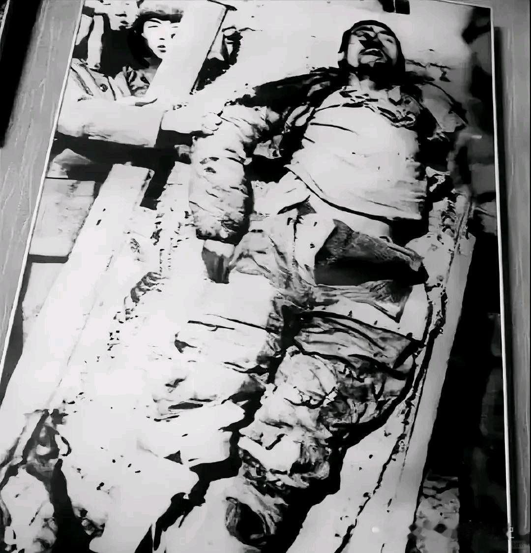 1951年北京审讯室，特务突然跪趴着嘶吼：“饶了我！我知道害死杨靖宇的叛徒，现在