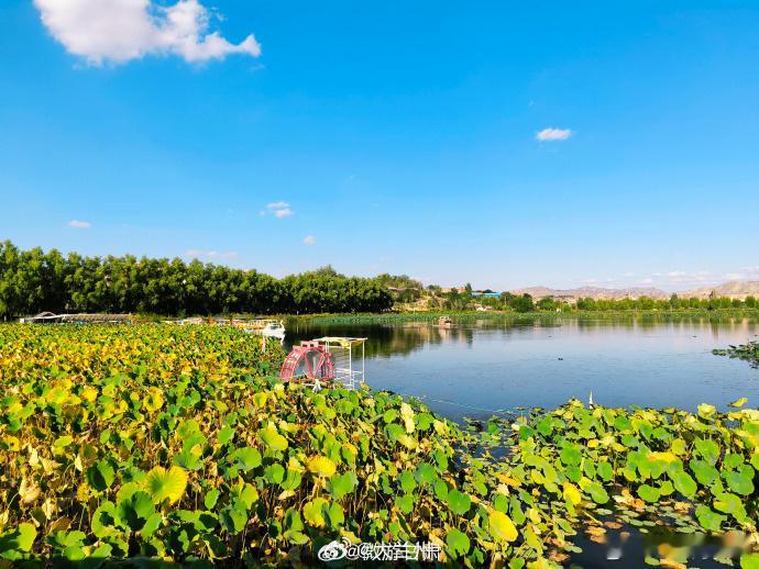 秋风起，水川湿地公园换了一身衣裳🌾白银水川湿地公园秋景上线同城热点创作计划 盛