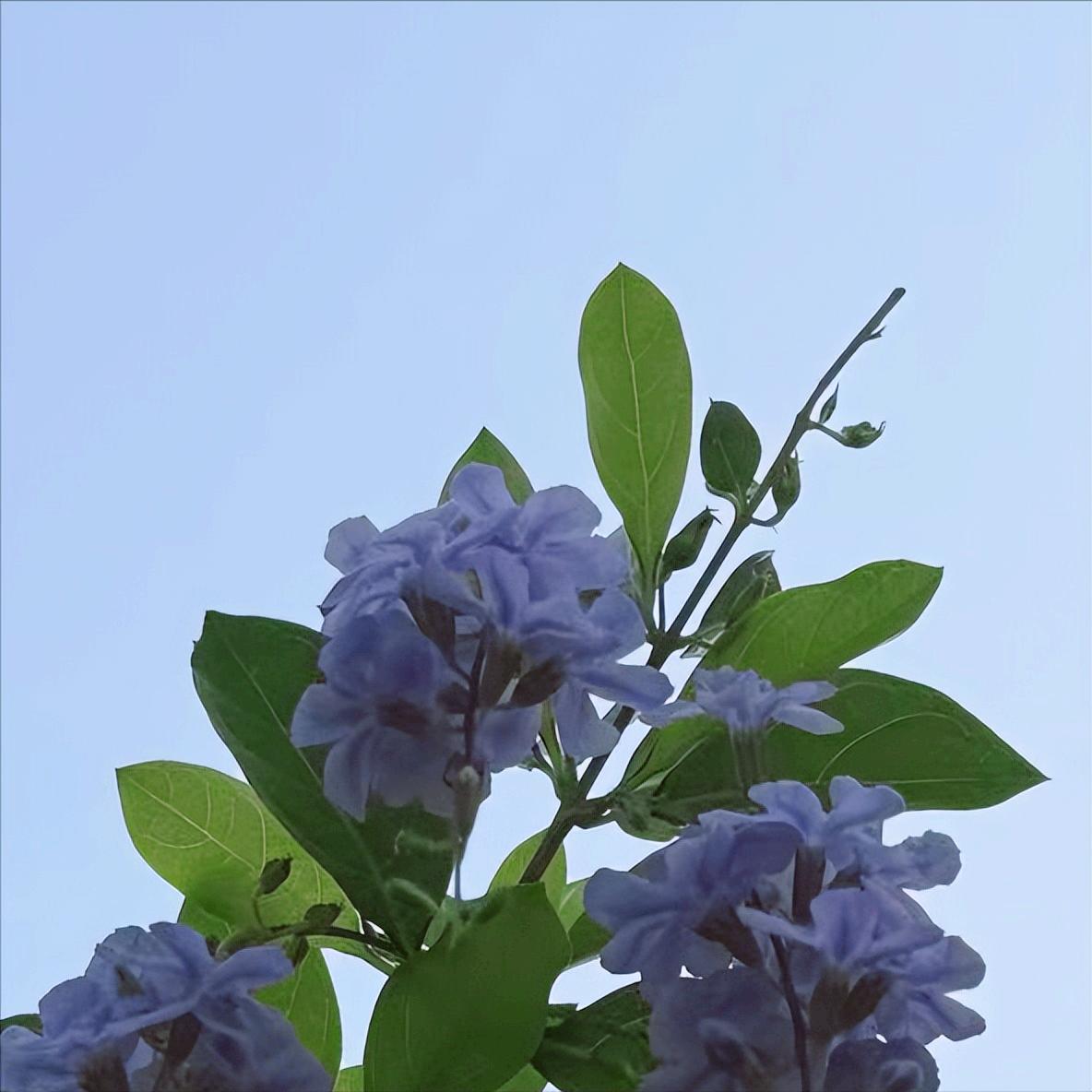 张家界迎来新的政府主要负责同志
 
近日，今年53岁的法学博士陈澎履新该市。
 