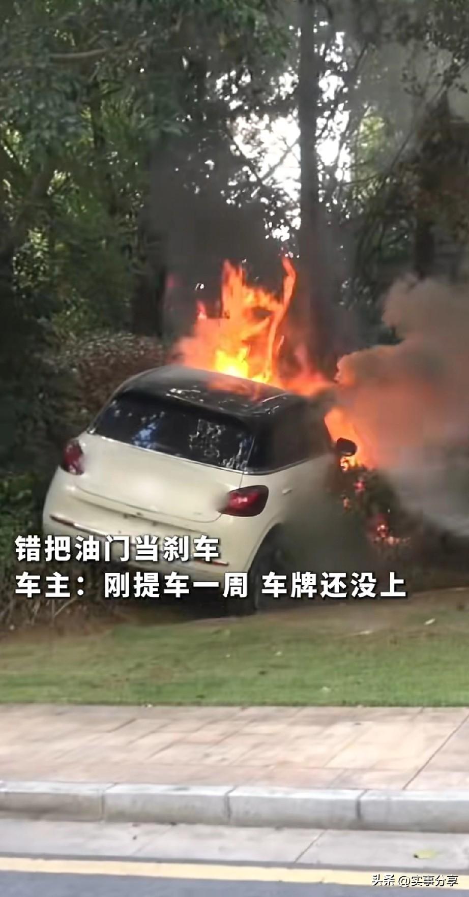 近日江西，一女士刚买的五菱缤果，新能源电车，刚买一周，牌没上。女士开车错把电门当
