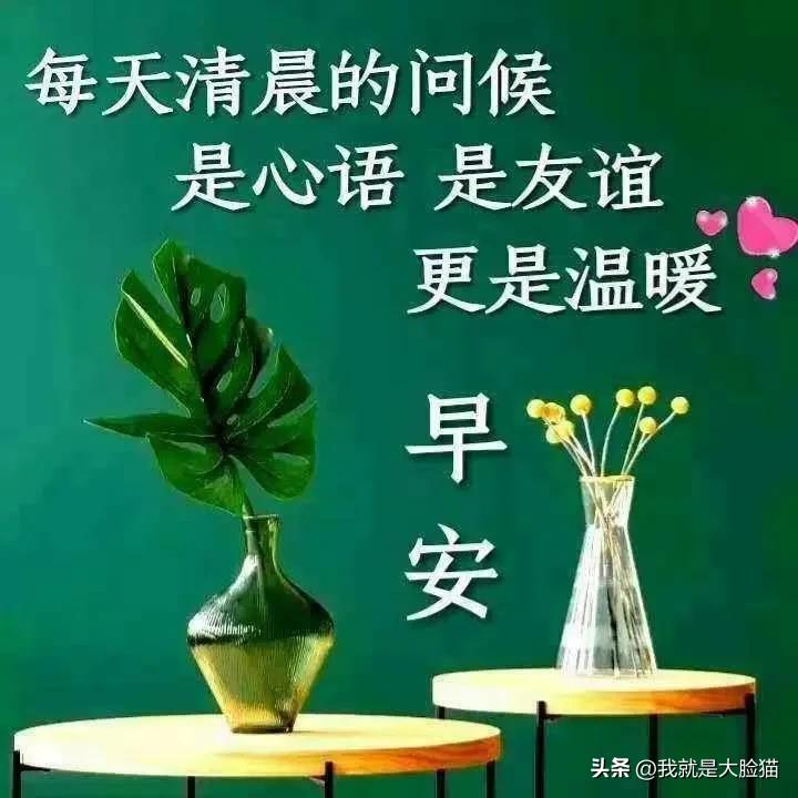 人生过半，学会看淡，静儿不争，一切随缘，顺其自然，随遇而安，愿时光不老，我们都好