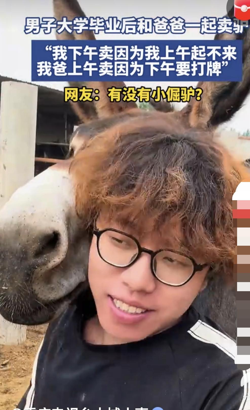 男子大学毕业后和爸爸一起卖驴，“我下午卖因为我上午起不来，我爸上午卖因为下午要打