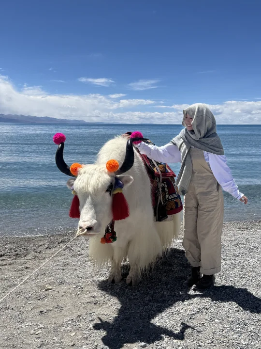 和牛牛合影啦！！