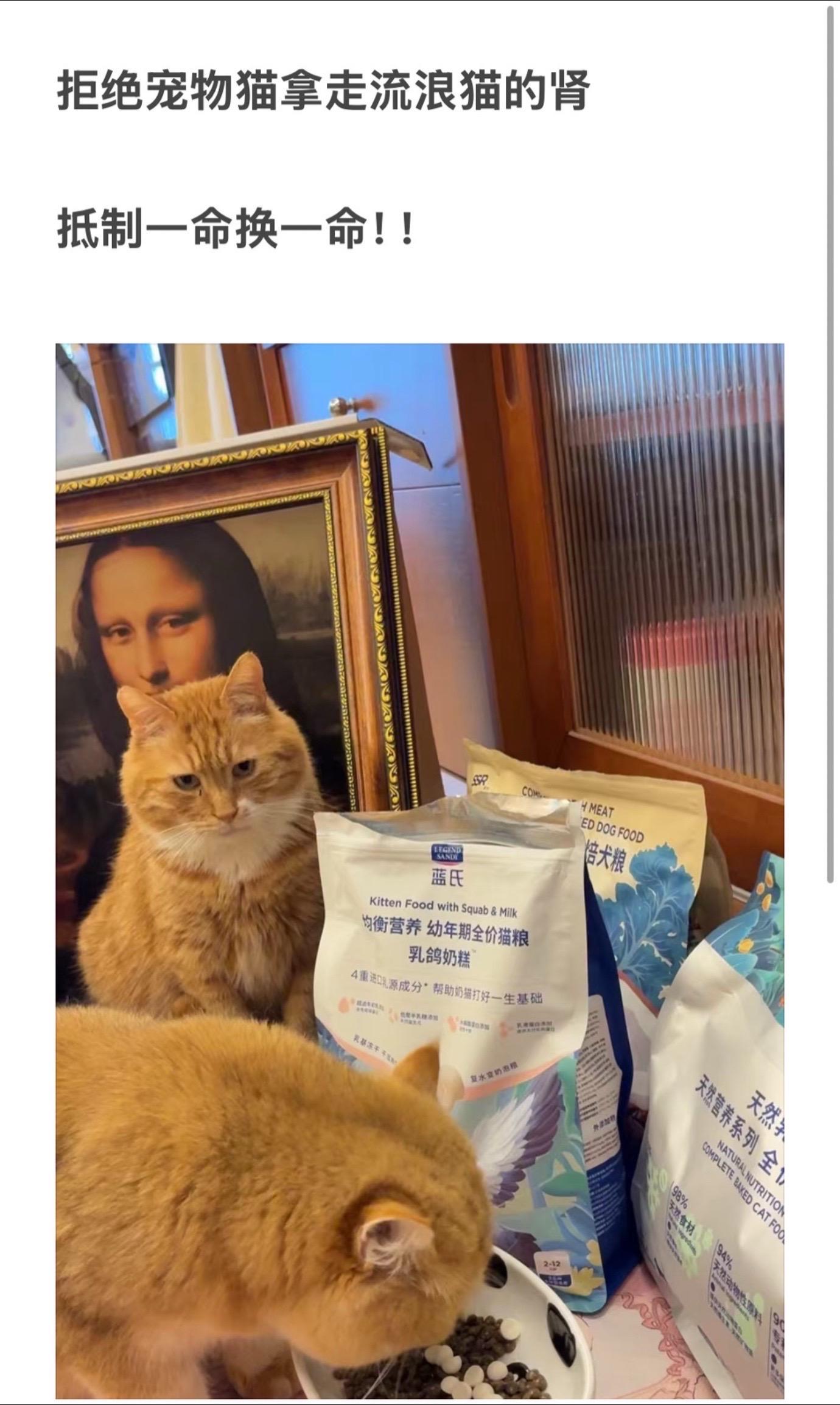 拒绝血猫，拒绝肾猫！严查救助灰色链。