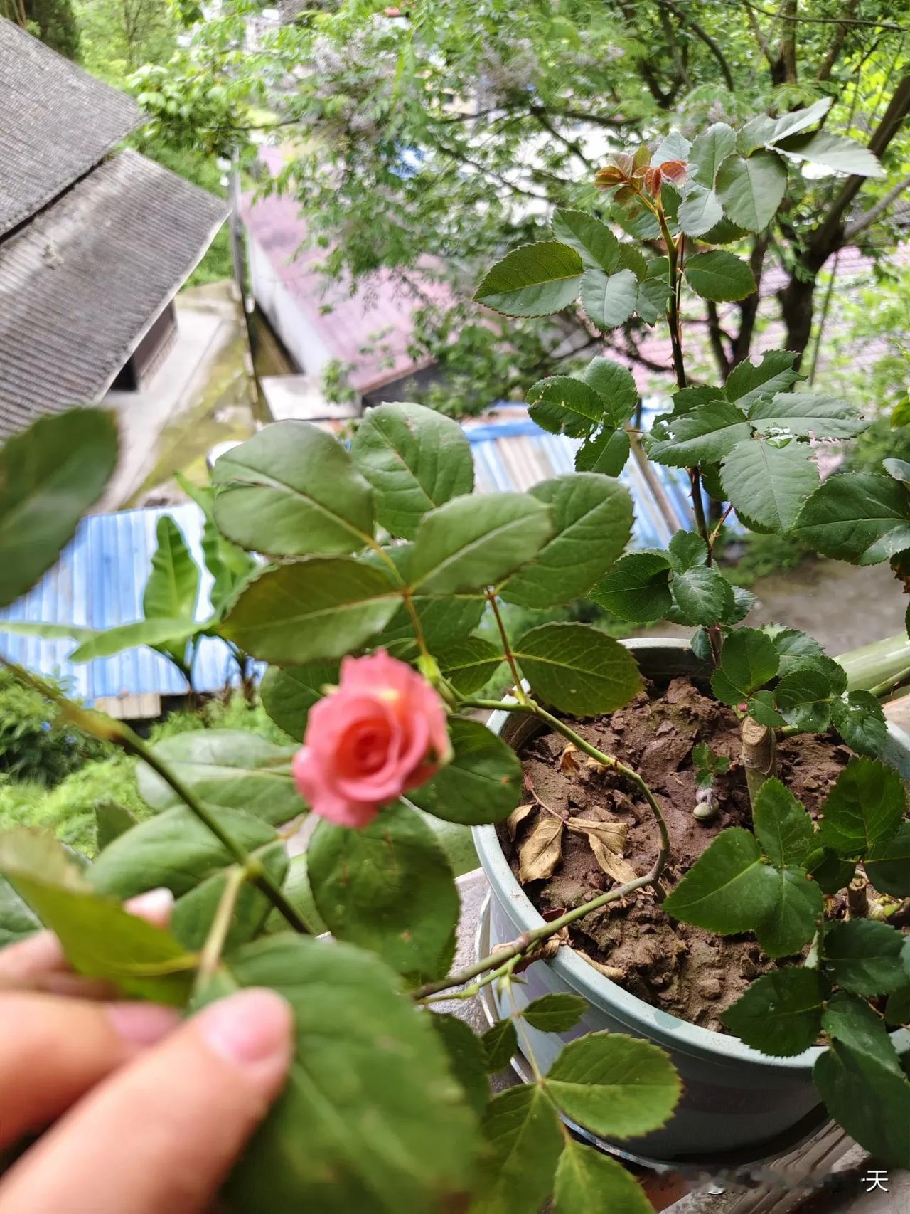 分享城市新鲜事