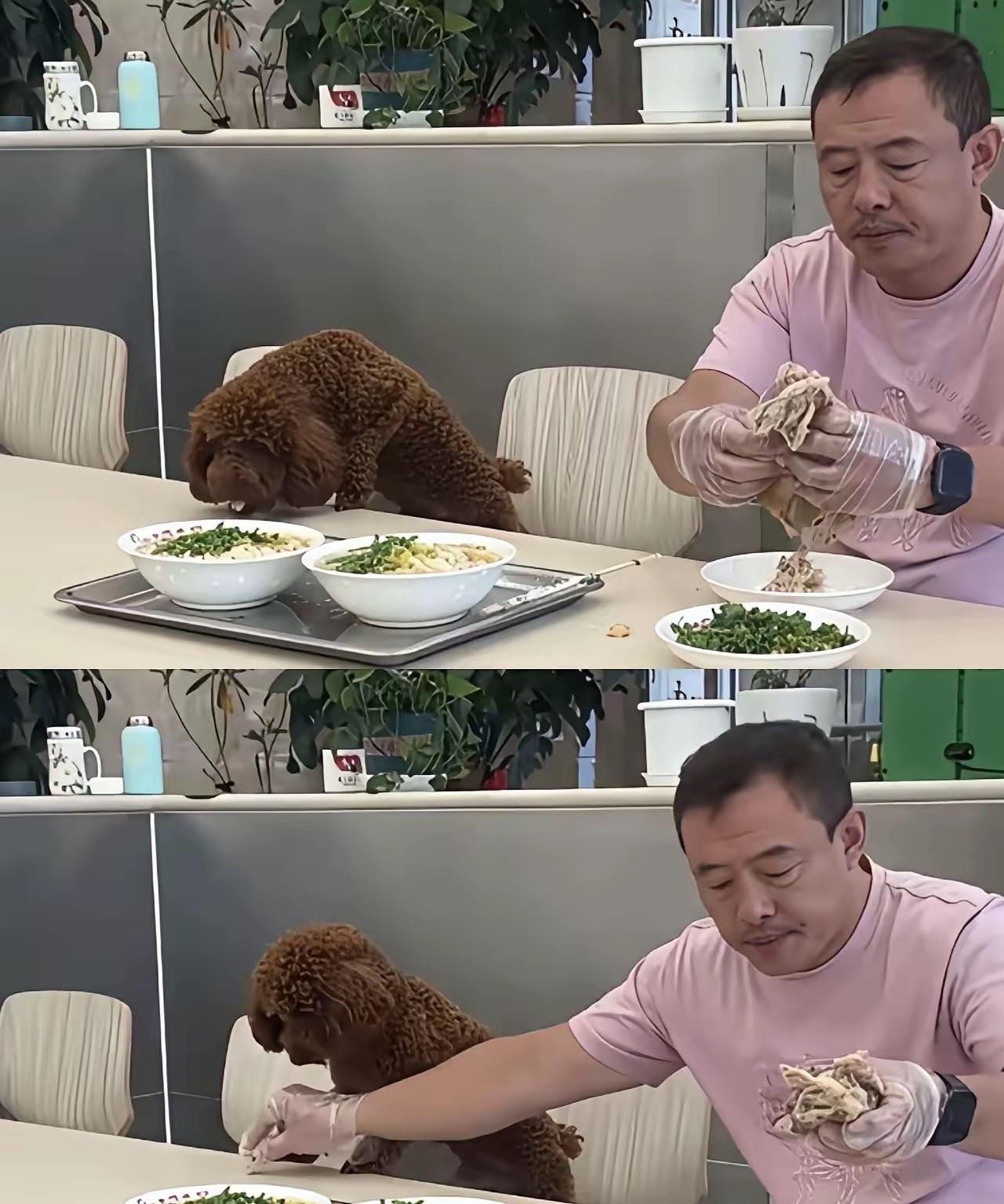 一只狗，如何咬死了一家经营20多年的老店？

沈阳老四季，这家两代人吃了二十多年