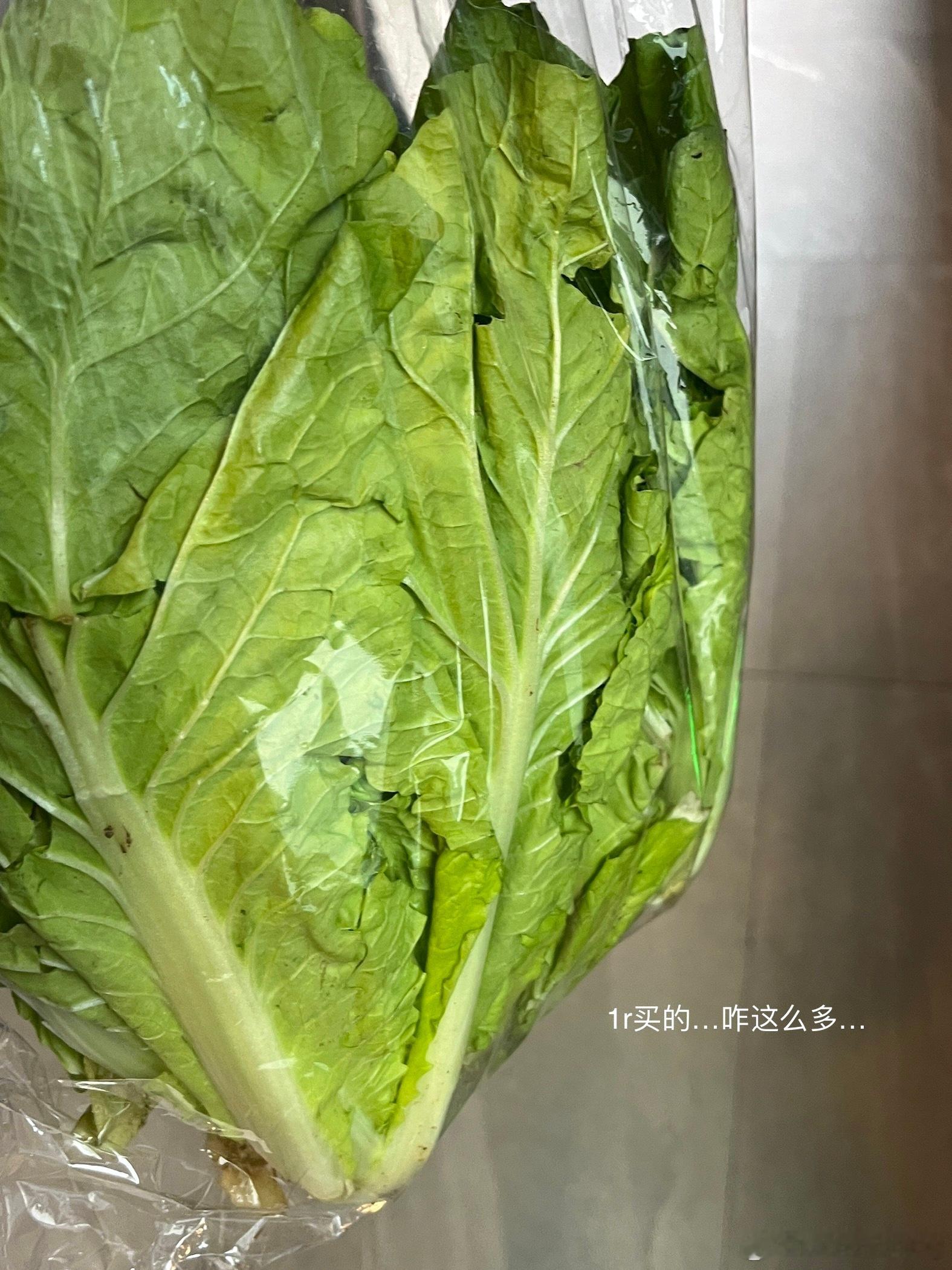 好久没发日常 ​​​