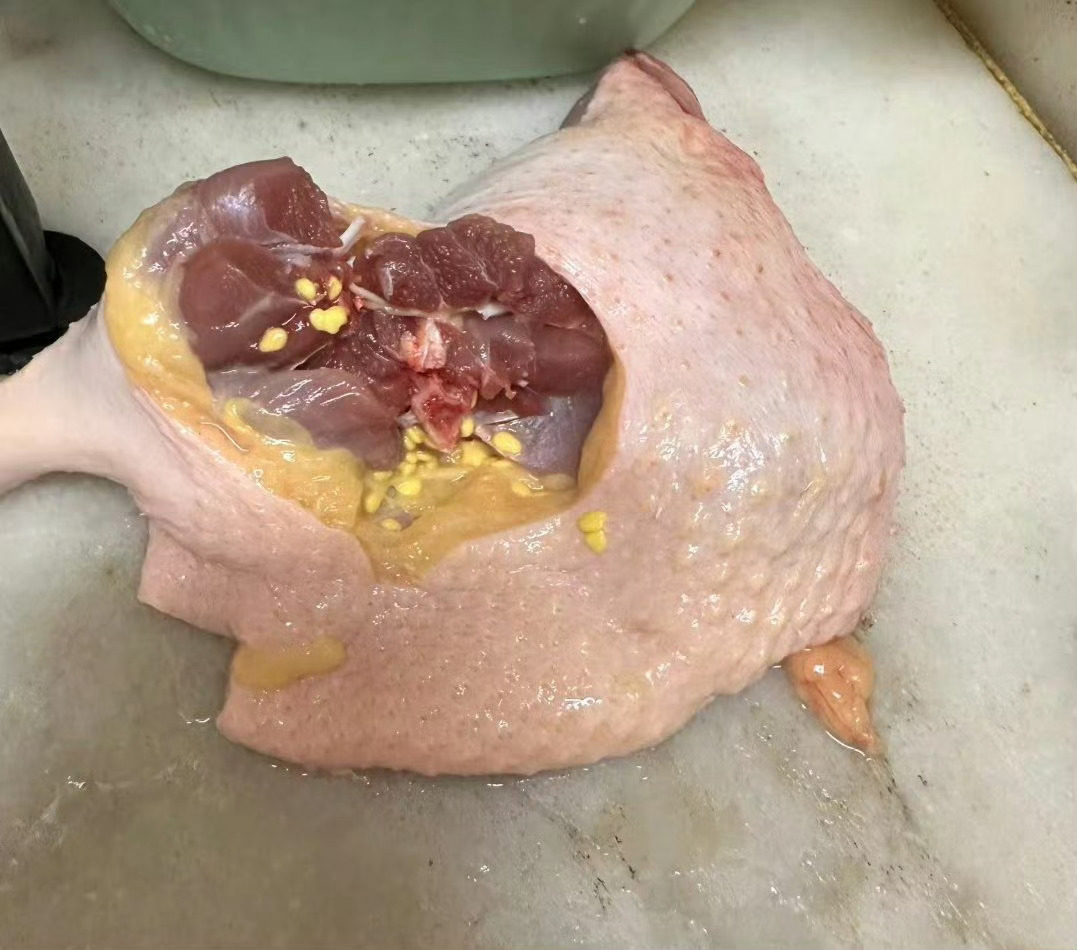 终于知道这黄色的颗粒是什么东西了 