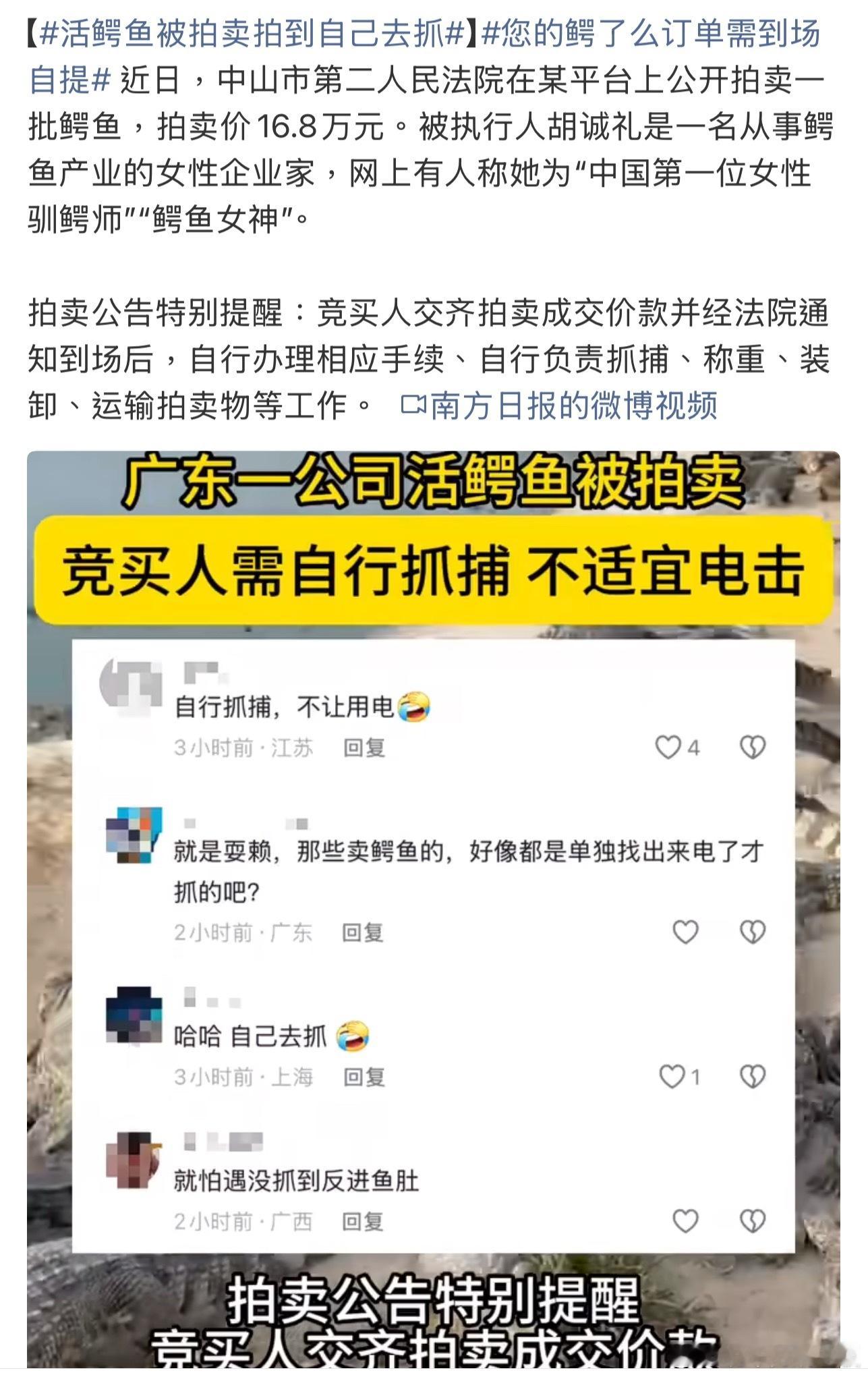 活鳄鱼被拍卖拍到自己去抓 见过拍房拍车的，拍活鳄鱼还得自己上手抓的你见过吗？规则