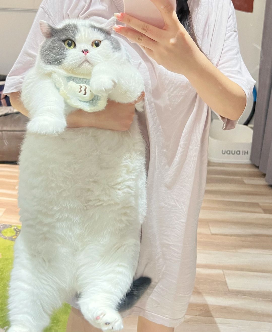 嘿嘿，抱住你跑不掉了吧！小猪咪