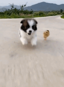 冲啊，看谁先到小卖部！