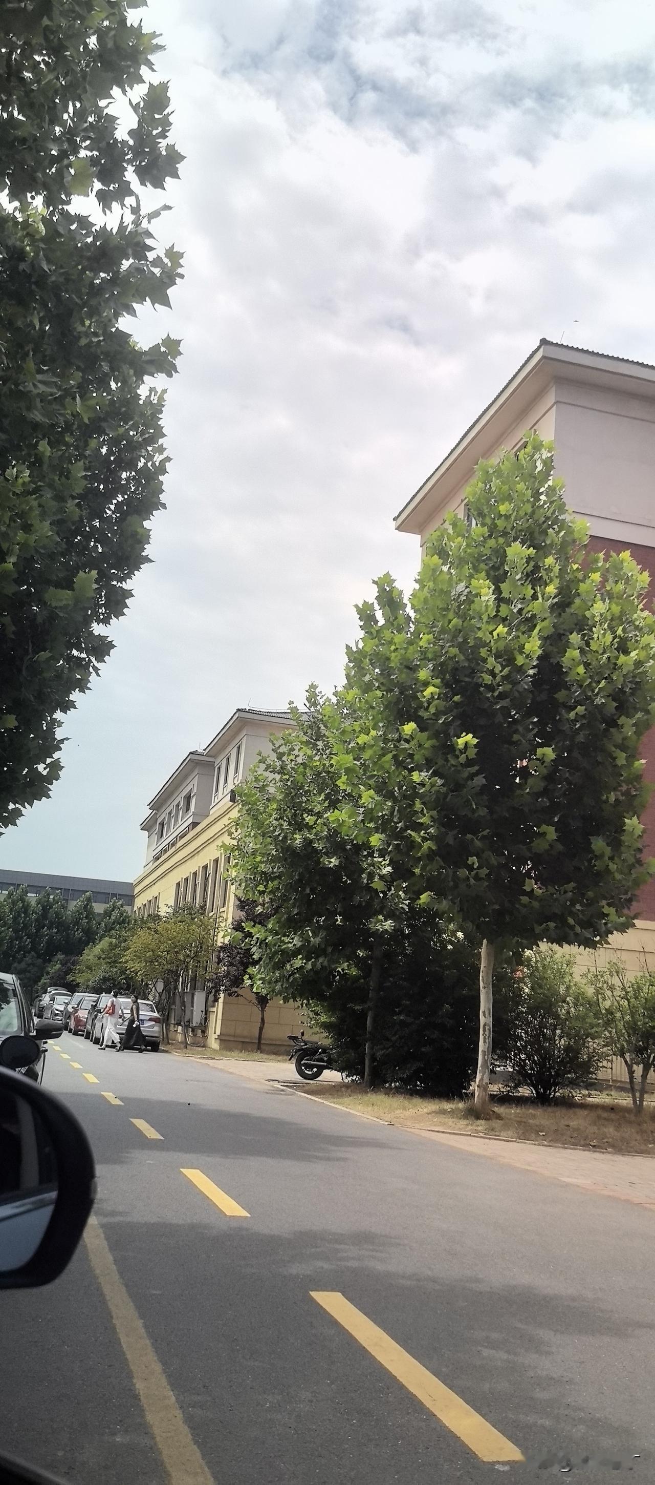 新的学年，开局是如此的美妙，以至于让我有隐隐的担忧，也许以后会为这种美妙付出一点
