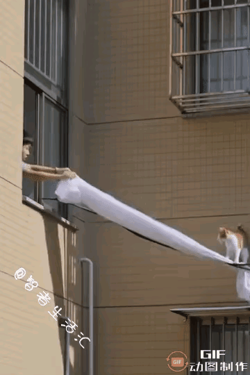 救助需要爱心，也需要智慧。