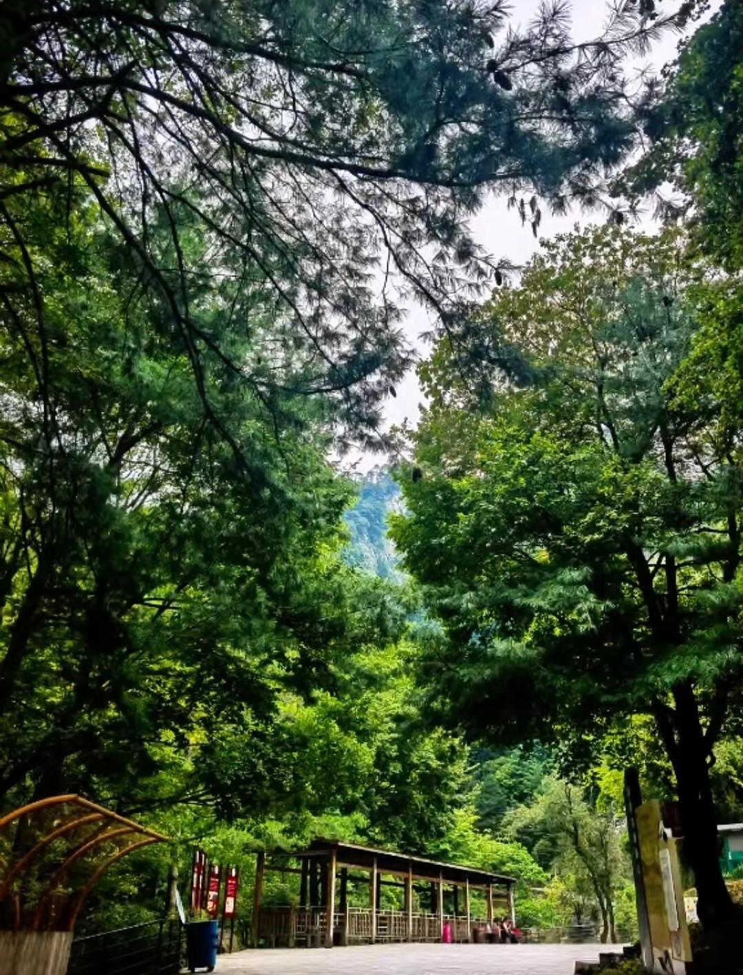 你信吗
婚姻里最可怕的
不是你老公欺负你
而是你老公
与别人合起伙来欺负你
把你
