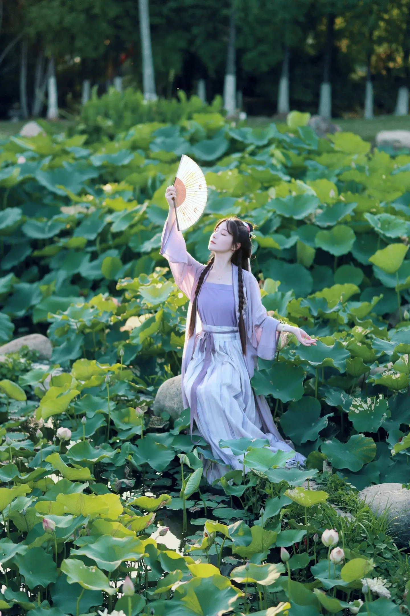 误入藕花深处！