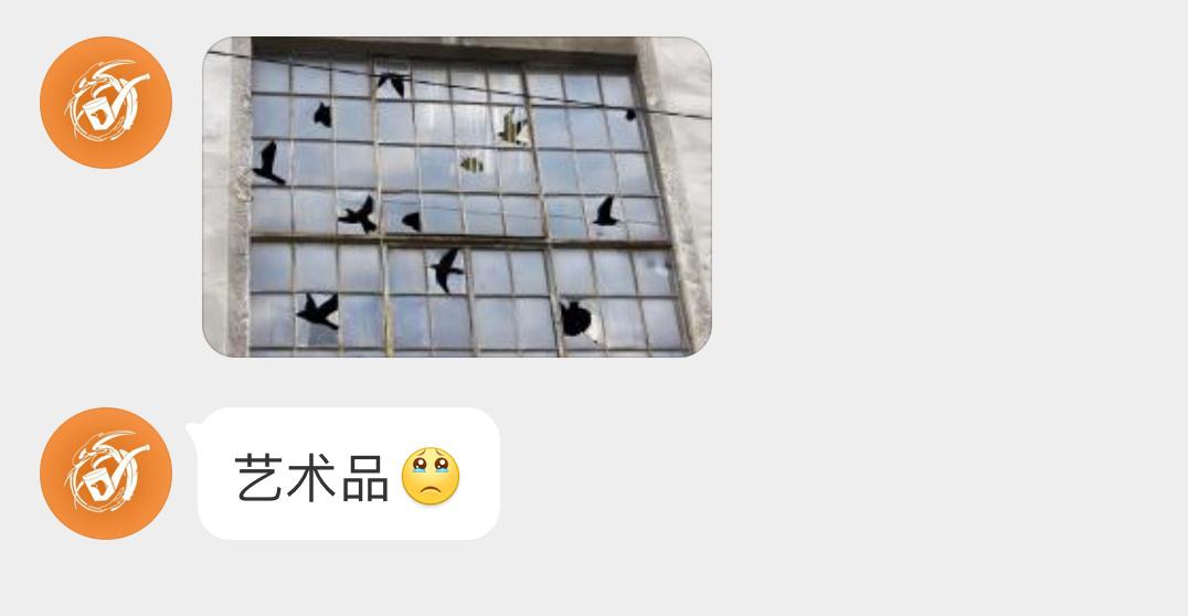 艺术和现实鸟撞的惨烈不为人知 ​​​