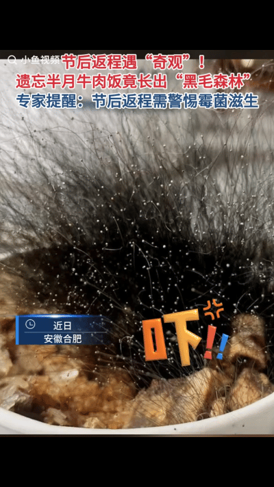 完全没想到！安徽合肥，男子过完年返程上班，打开办公室后就闻到一股霉味扑鼻而来，起